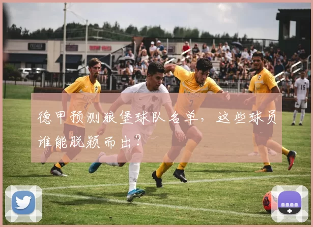 德甲预测狼堡球队名单，这些球员谁能脱颖而出？