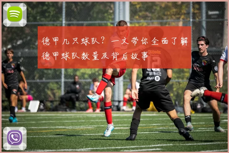 德甲几只球队?一文带你全面了解德甲球队数量及背后故事