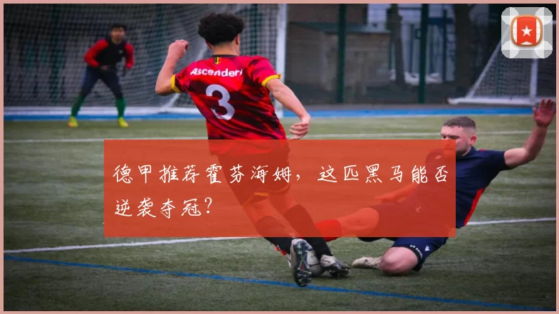德甲推荐霍芬海姆，这匹黑马能否逆袭夺冠？