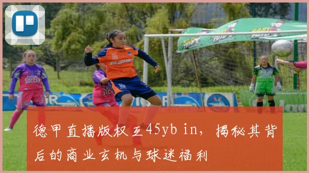 德甲直播版权互45yb in,揭秘其背后的商业玄机与球迷福利