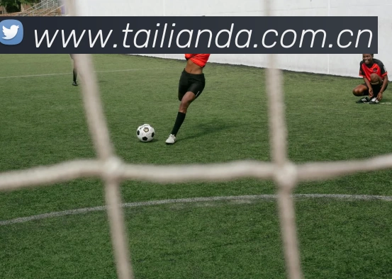 开云·kaiyun体育(中国大陆)官方网站 登录入口平台生态图