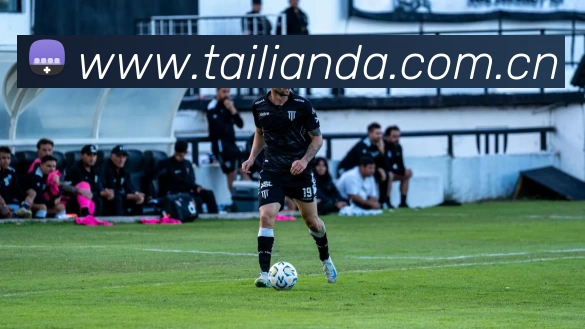 开云·kaiyun体育(中国大陆)官方网站 登录入口APP 封面图